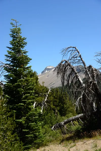 DSC_0249 (Large).JPG